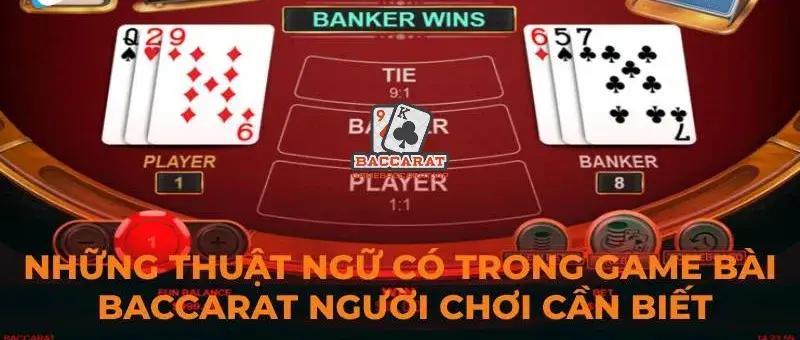 Các Thuật Ngữ Chỉ Thắng Thua Trong Baccarat