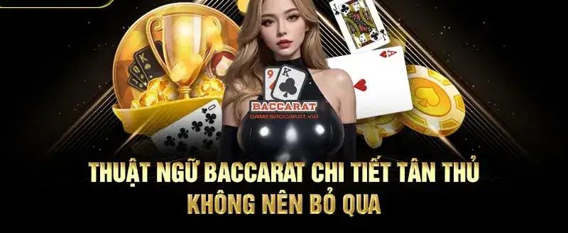 Nhóm Thuật Ngữ Liên Quan Đến Người Chơi và Nhà Cái
